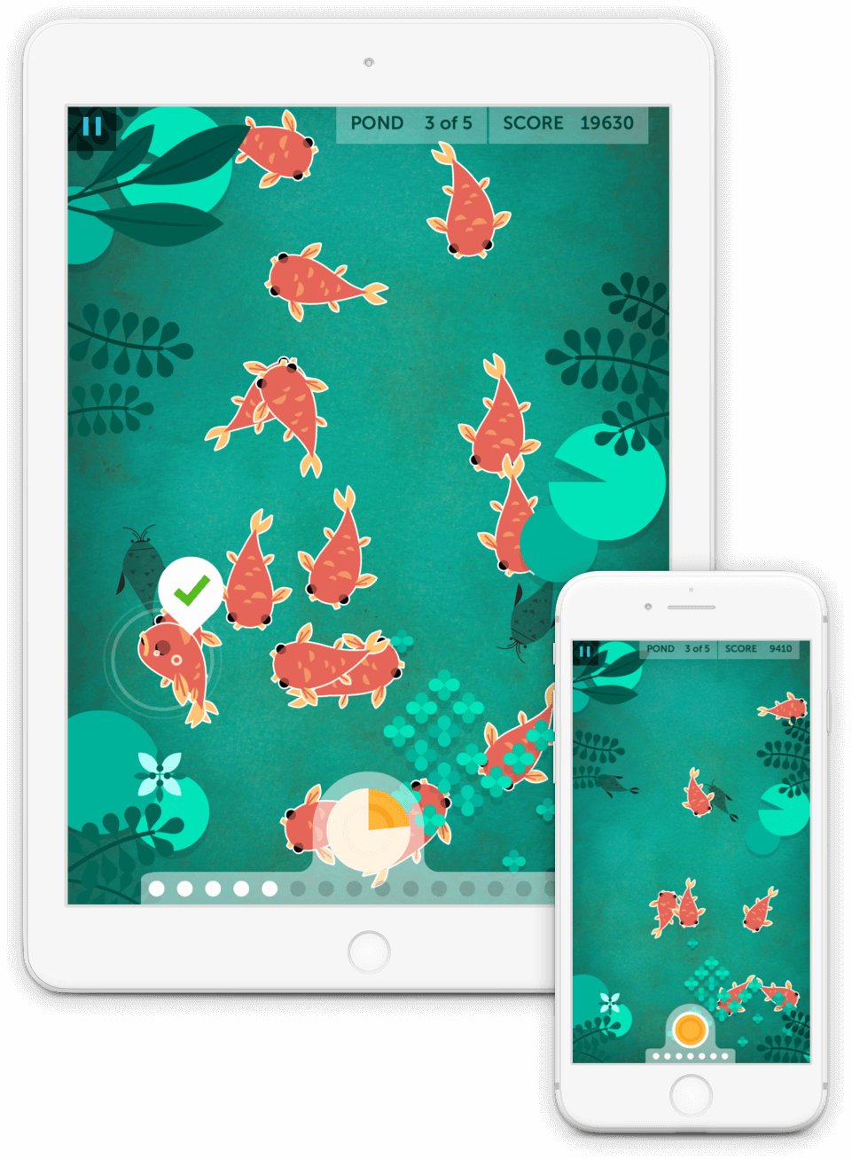 Playing Koi