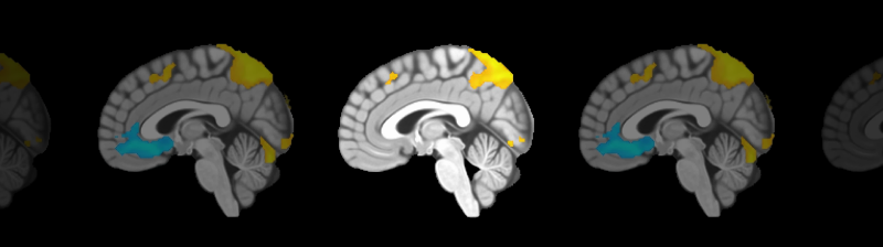 The Science
Behind Lumosity